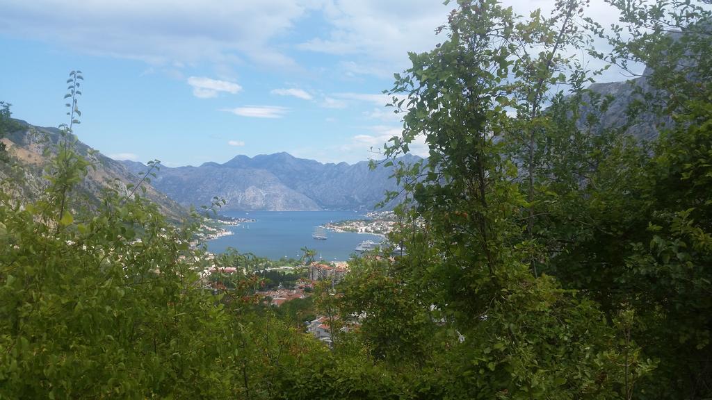 Apartments Panoramic Paradise Котор Екстер'єр фото